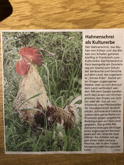 Huhn_400.jpg